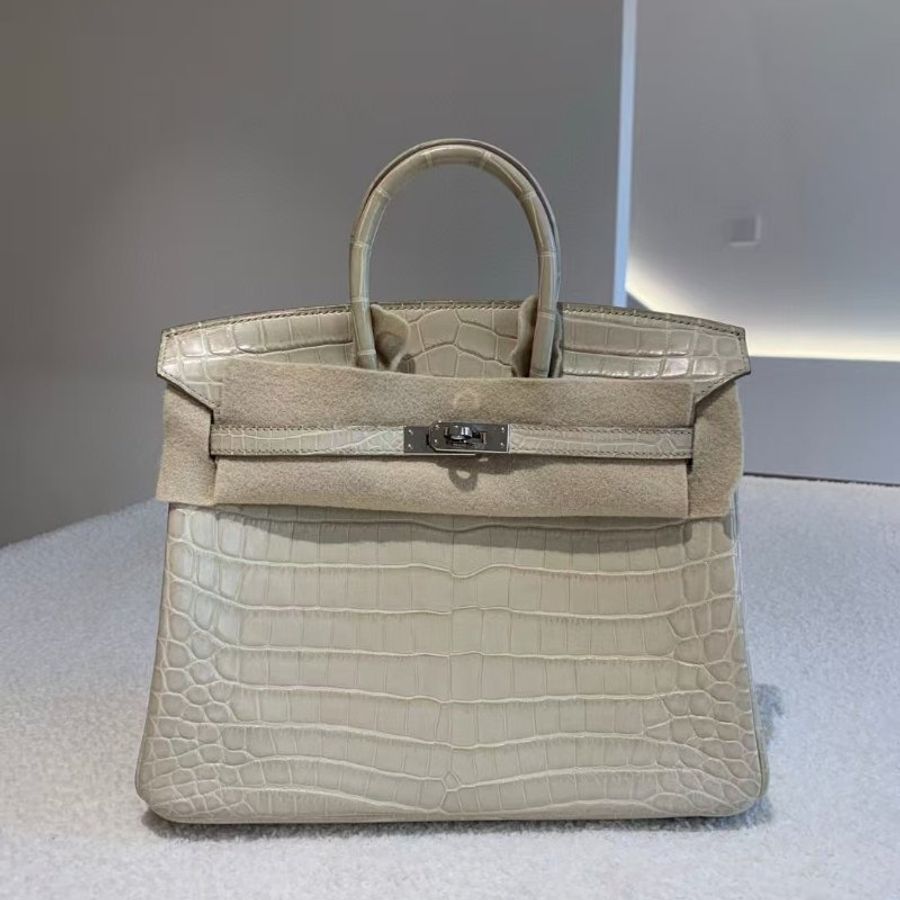 【極致天菜】HERMES BIRKIN 25 冰川白 霧面鱷  銀扣-0