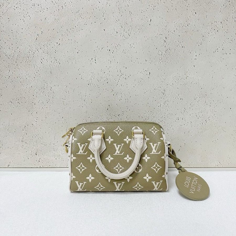LV speedy 20 限量版色-1