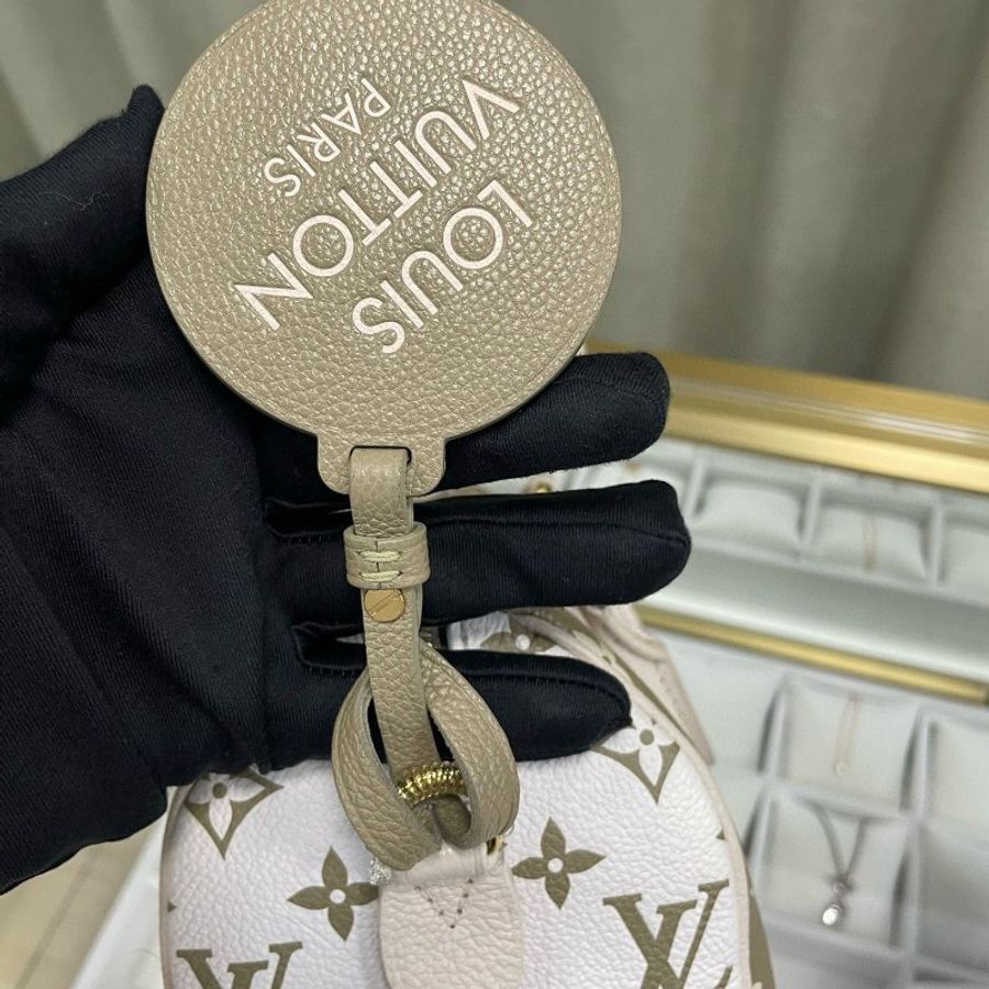 LV speedy 20 限量版色-5
