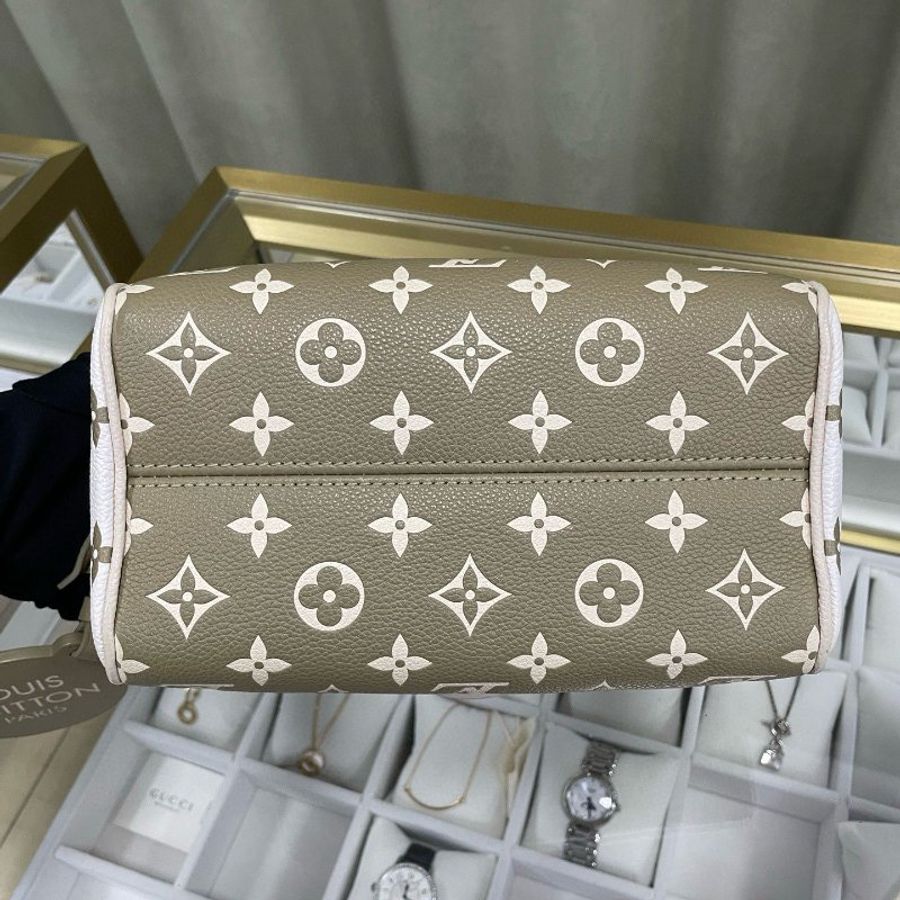 LV speedy 20 限量版色-8