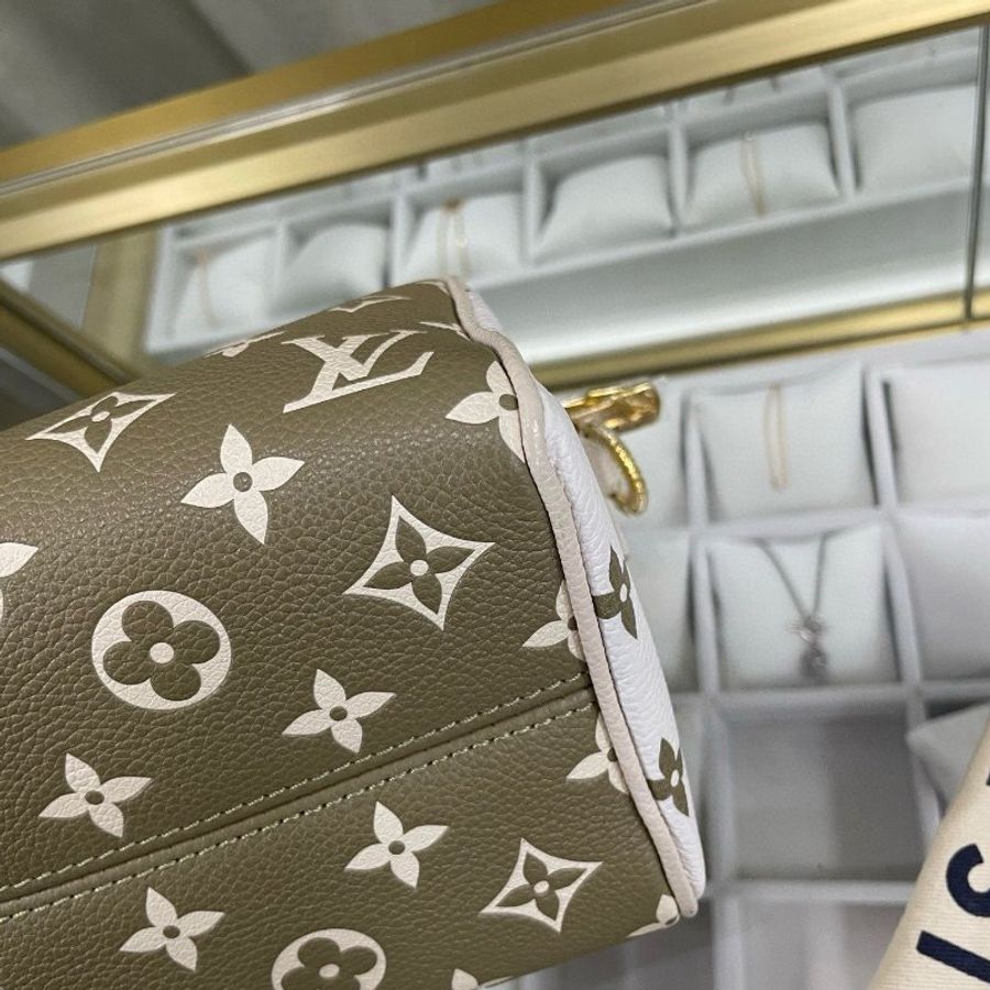 LV speedy 20 限量版色-13