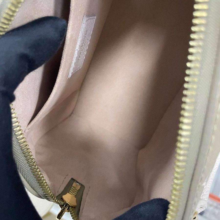 LV speedy 20 限量版色-14