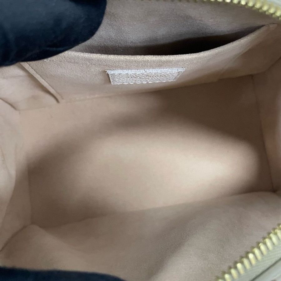 LV speedy 20 限量版色-16