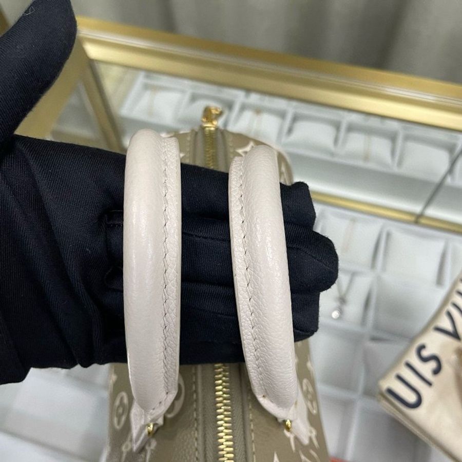 LV speedy 20 限量版色-18