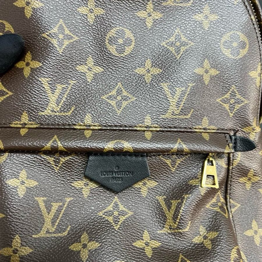 LV small backpack-11