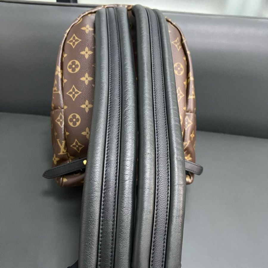 LV small backpack-13