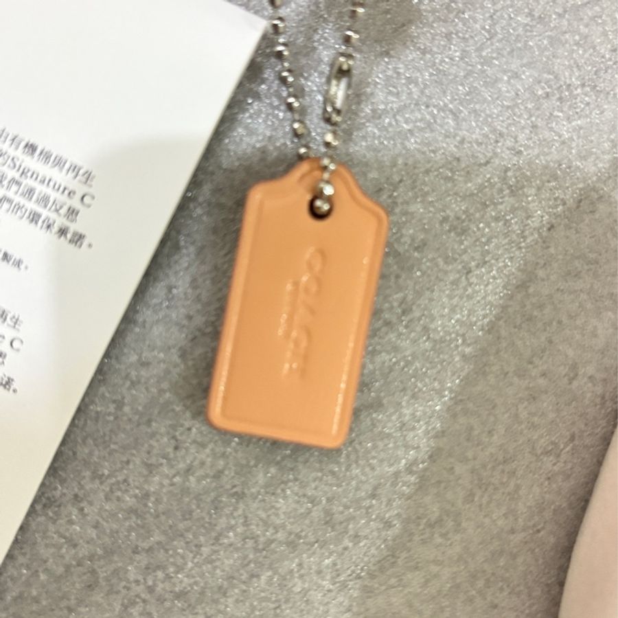 COACH ANDREA 經典LOGO小號單肩手袋斜背-3