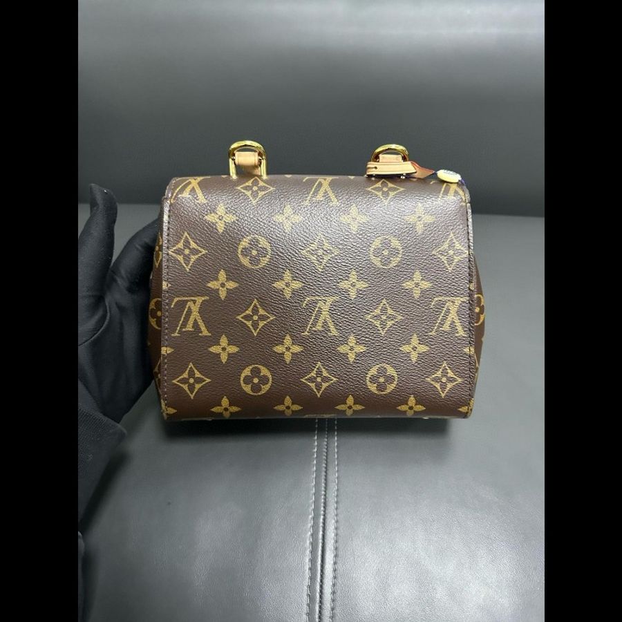 LV 新款 Cluny mini-3