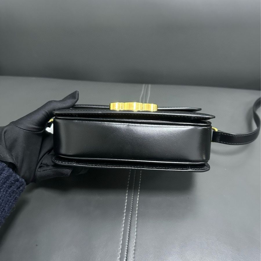 Celine teen box-11