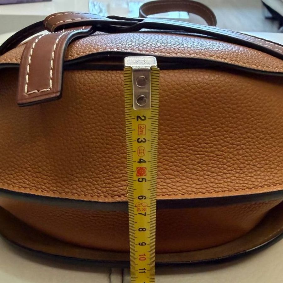 Loewe women's Handbag Gate-15