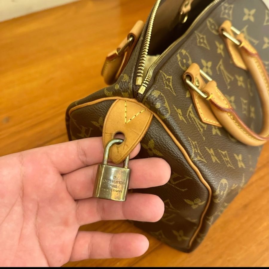 LV speedy 25 手提款-6