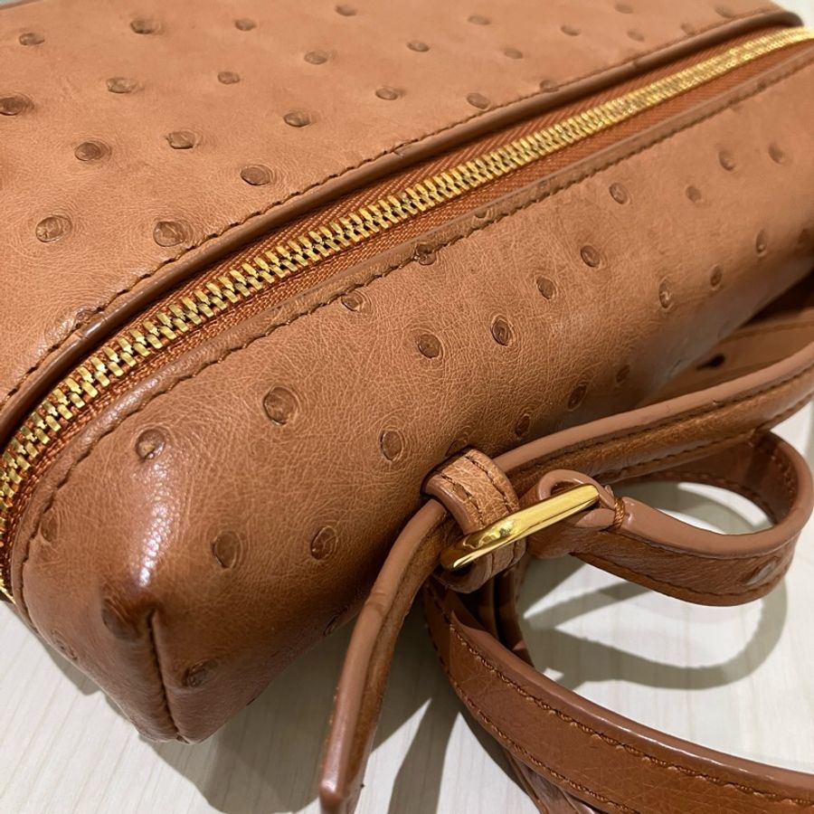 TK1861 LORO PIANA 諾悠翩雅經典鴕鳥皮手拿兩用包包OSTRICH L19 EXTRA POCKET POUCH-26