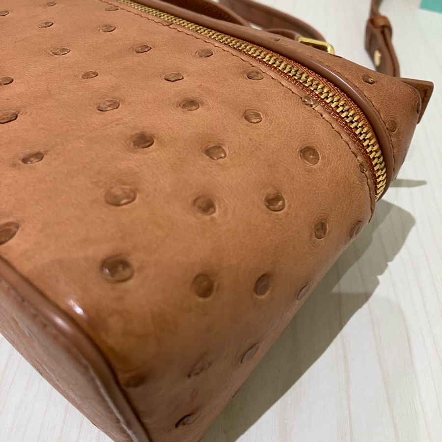 TK1861 LORO PIANA 諾悠翩雅經典鴕鳥皮手拿兩用包包OSTRICH L19 EXTRA POCKET POUCH-27