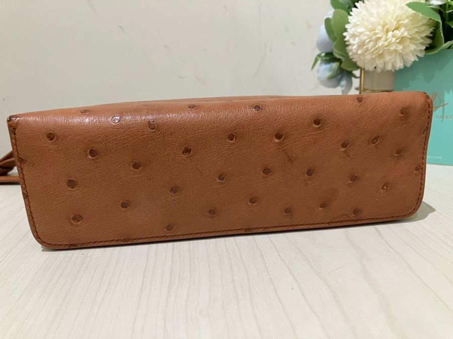 TK1861 LORO PIANA 諾悠翩雅經典鴕鳥皮手拿兩用包包OSTRICH L19 EXTRA POCKET POUCH-29