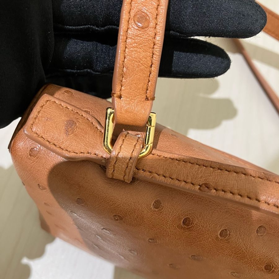 TK1861 LORO PIANA 諾悠翩雅經典鴕鳥皮手拿兩用包包OSTRICH L19 EXTRA POCKET POUCH-30