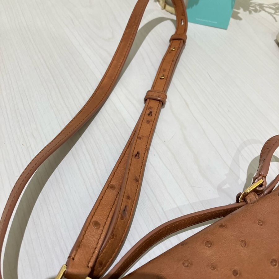 TK1861 LORO PIANA 諾悠翩雅經典鴕鳥皮手拿兩用包包OSTRICH L19 EXTRA POCKET POUCH-39
