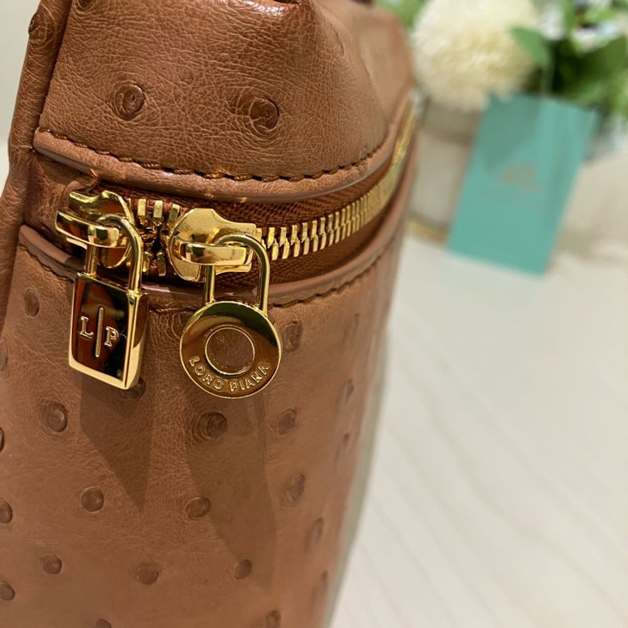 TK1861 LORO PIANA 諾悠翩雅經典鴕鳥皮手拿兩用包包OSTRICH L19 EXTRA POCKET POUCH-41