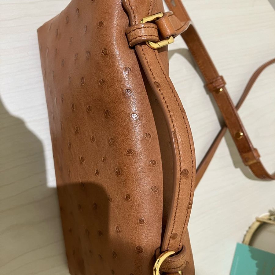 TK1861 LORO PIANA 諾悠翩雅經典鴕鳥皮手拿兩用包包OSTRICH L19 EXTRA POCKET POUCH-49