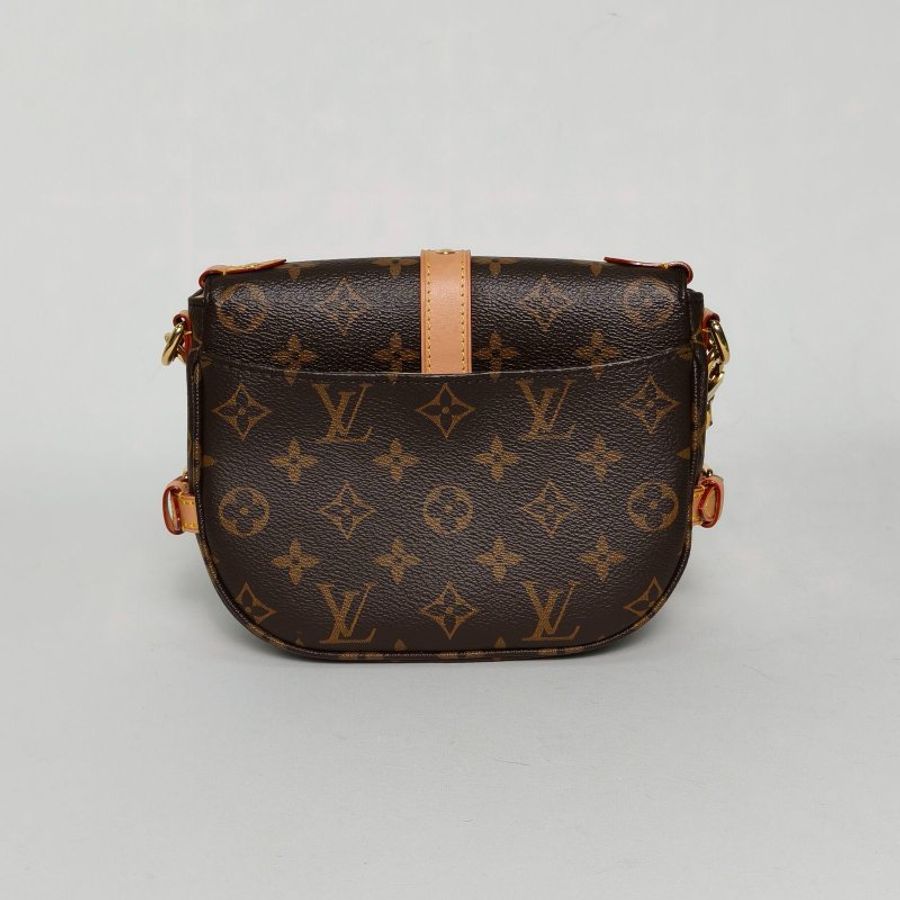 LOUIS VUITTON Saumur雙子星小號20老花PVC晶片肩背包-1