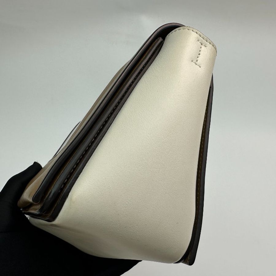Celine 赛琳 Frame 鏡框 中號 女士 雙色拼接光滑小牛皮單肩包 斜挎包-4