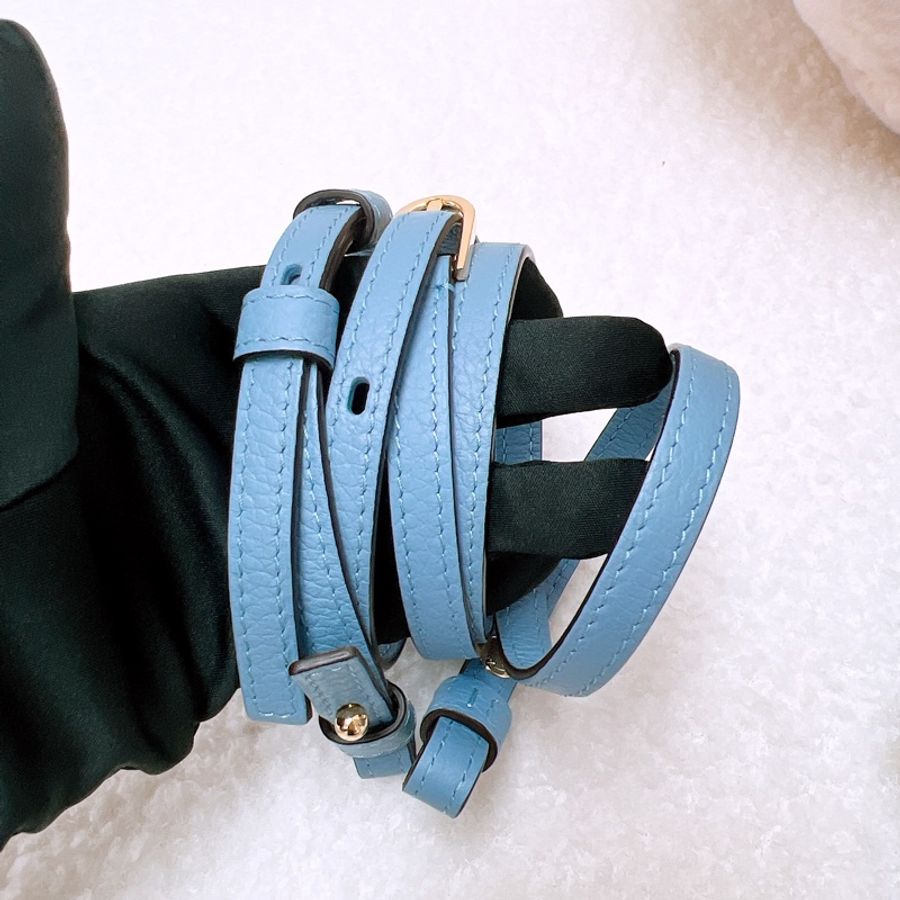Delvaux coolbox nano 藍色-11