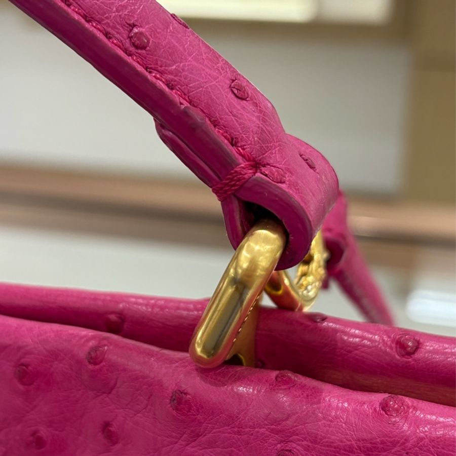 Fendi Peekaboo 極罕有 鴕鳥皮 二手like new❤️🔥-18