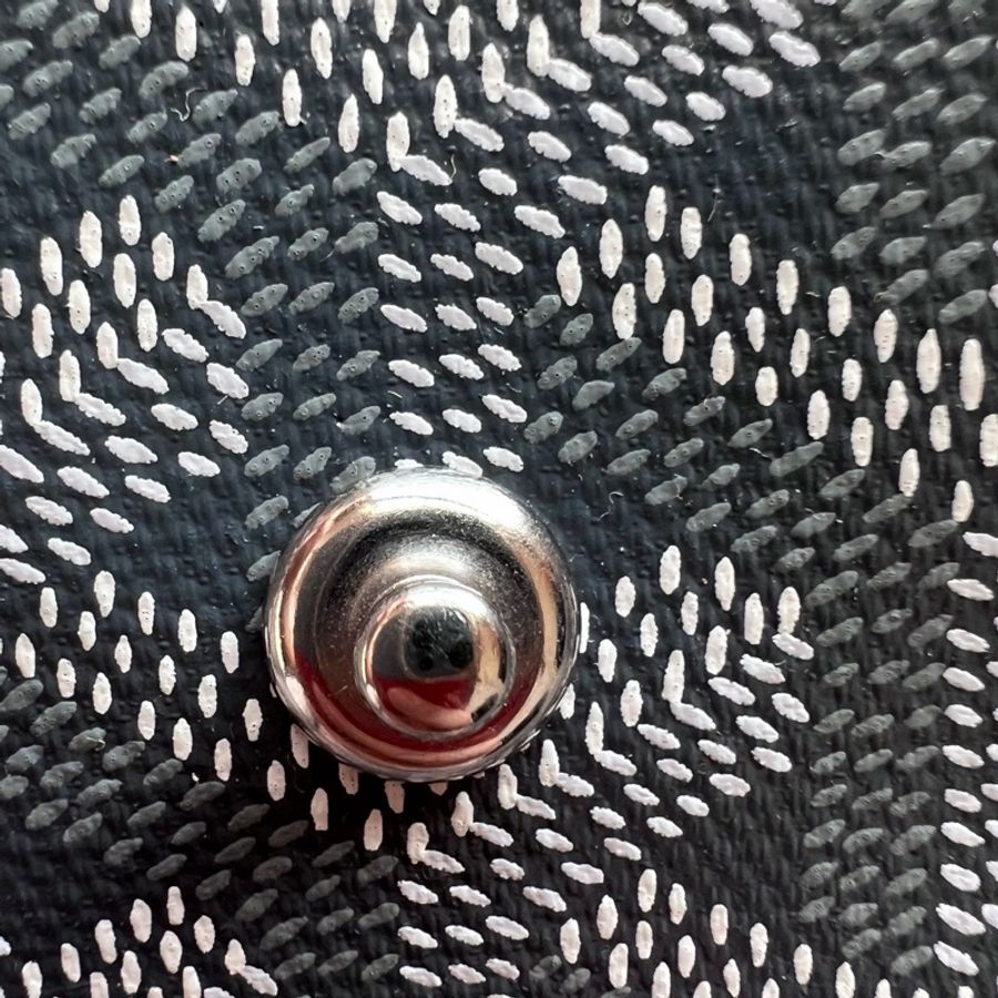 Goyard PM tote-18