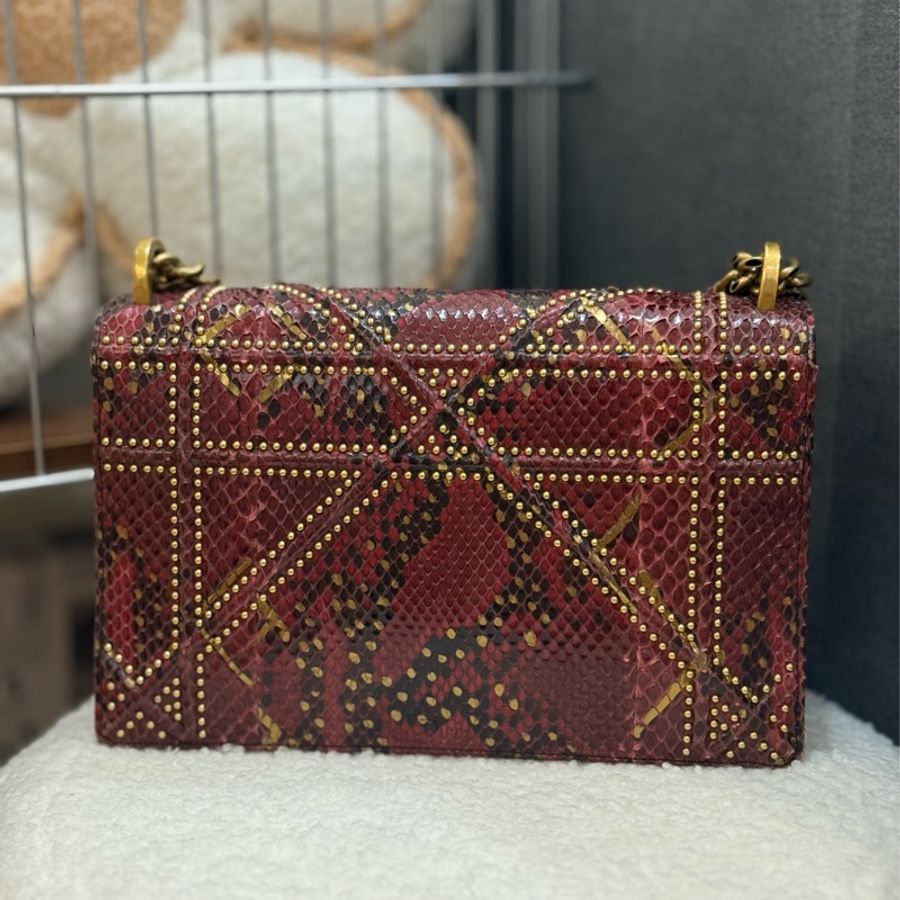 (購入價約四十萬台幣)DIOR 蟒蛇皮🐍 Diorama盾牌包-1