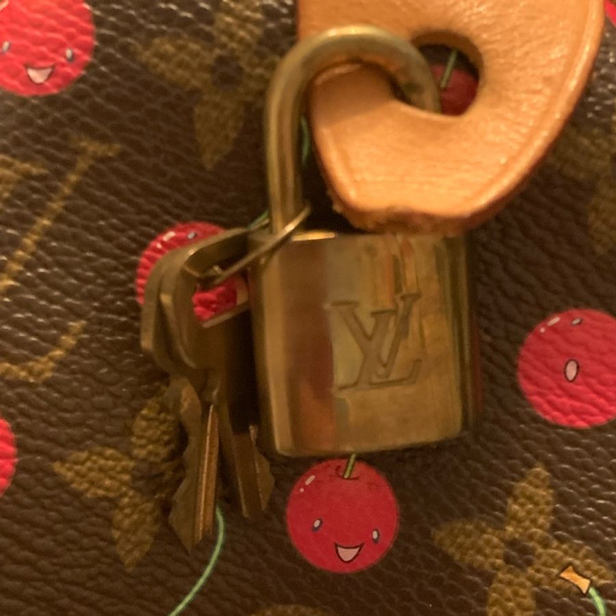 Louis Vuitton Speed25限量櫻桃包-6