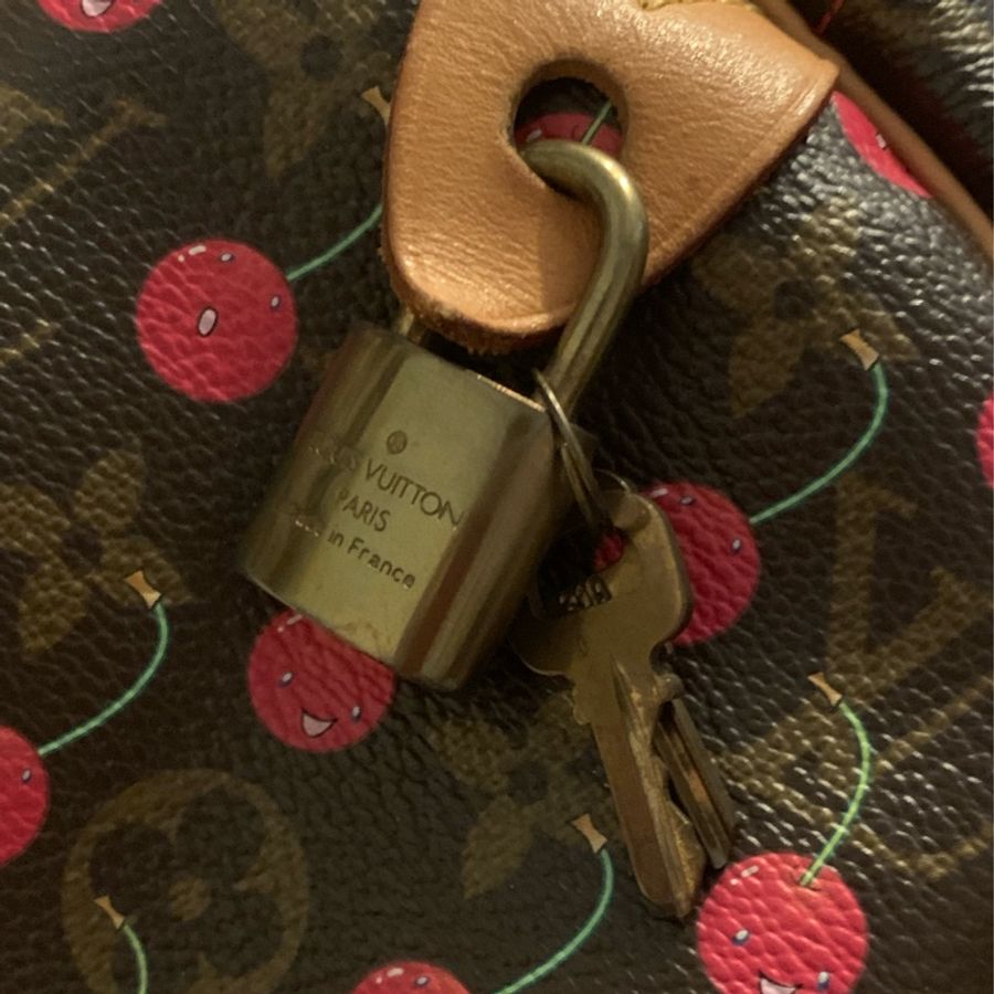 Louis Vuitton Speed25限量櫻桃包-22