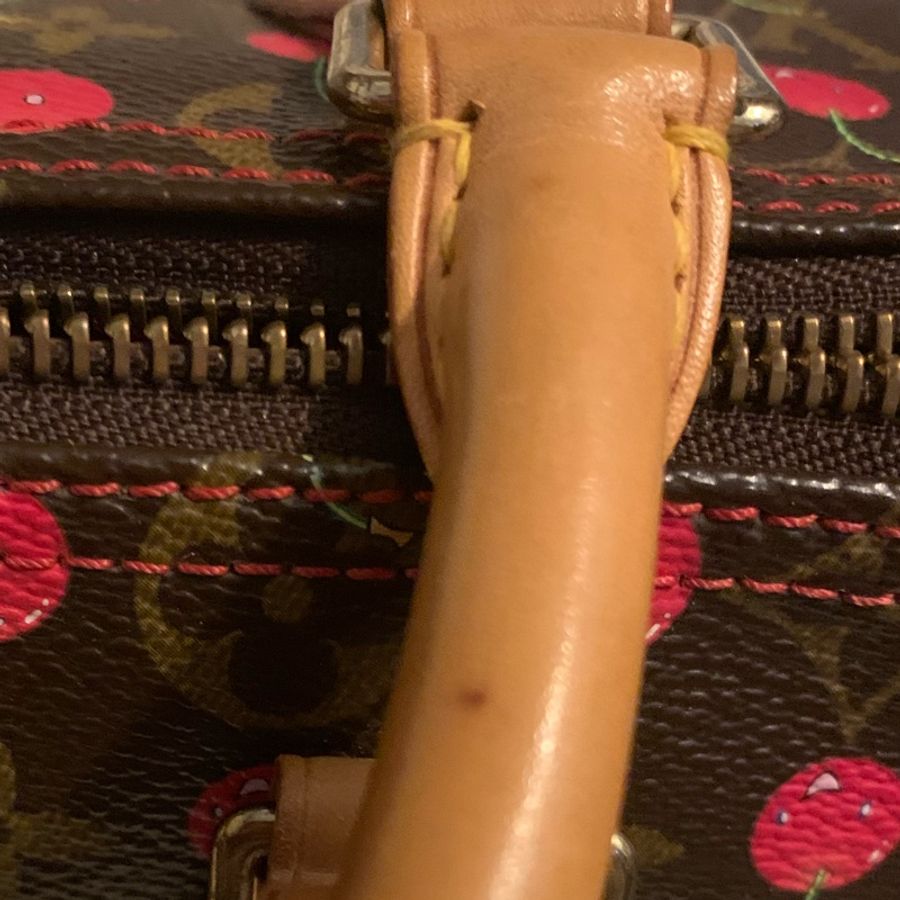 Louis Vuitton Speed25限量櫻桃包-38