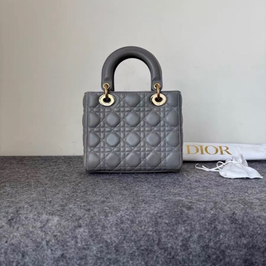 Dior 大象灰 四格 徽章肩帶 戴妃 附件塵袋-1