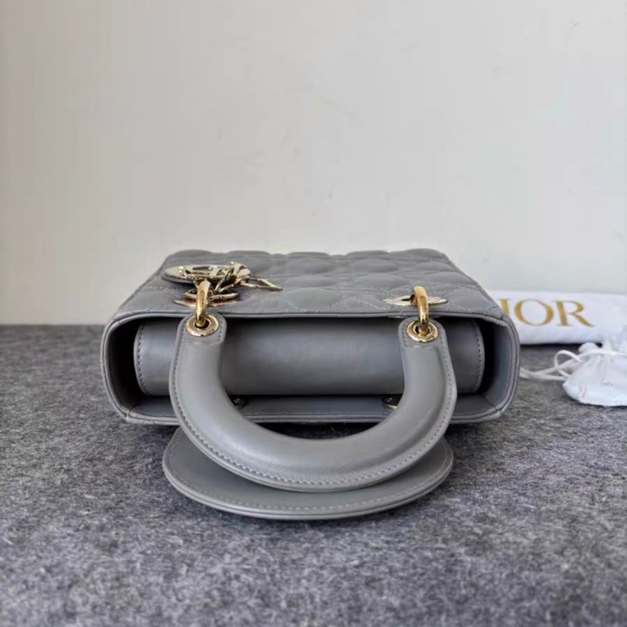 Dior 大象灰 四格 徽章肩帶 戴妃 附件塵袋-4