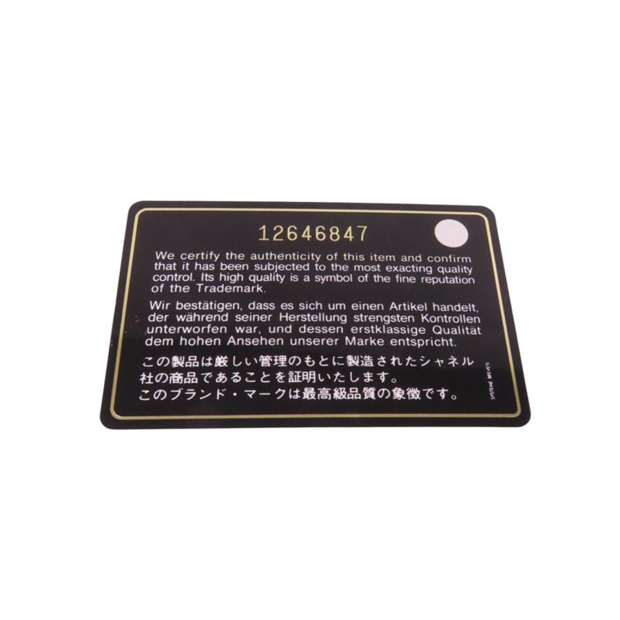 CHANEL 羊皮皮革Classic 25金扣鏈帶肩背袋-8