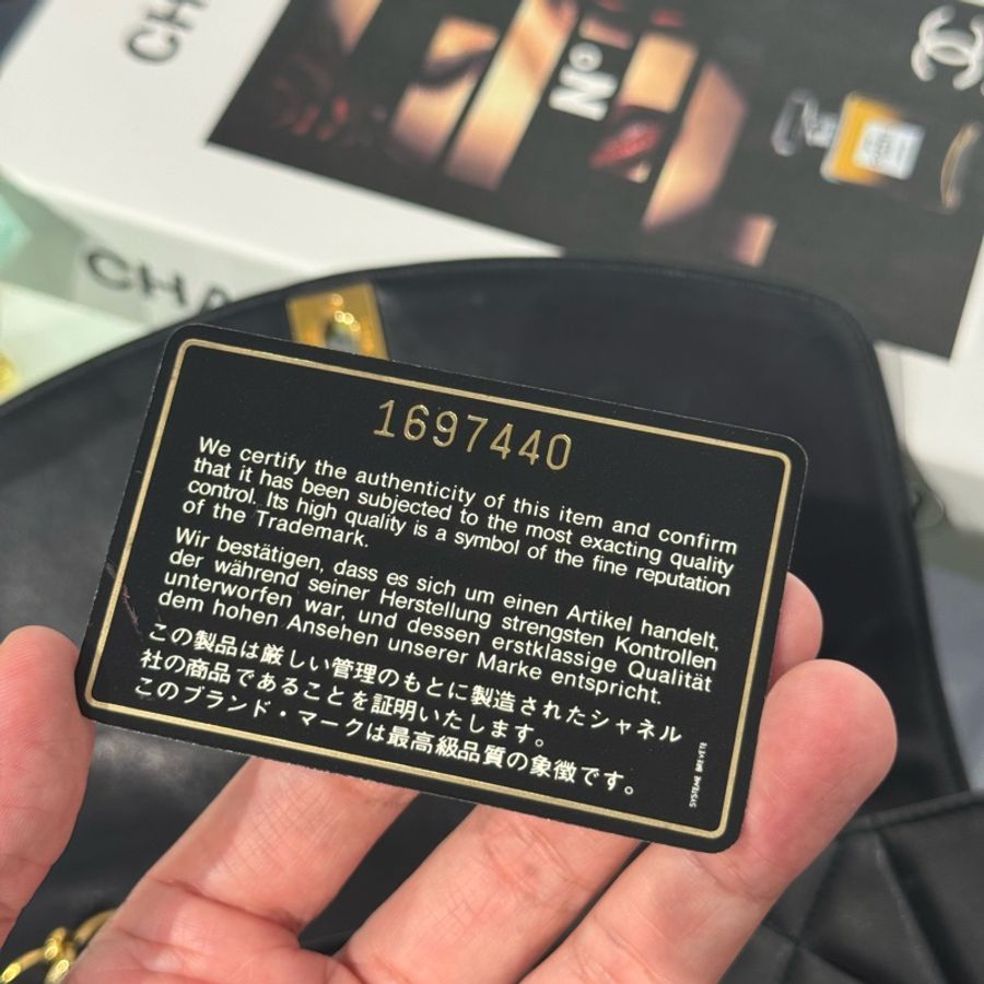 CHANEL vintage coco Diana黛妃口蓋鏈包22cm🩶經典夯款-22