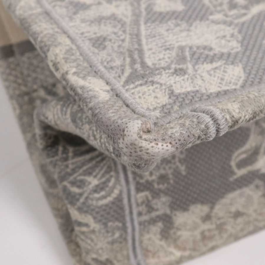 Dior 帆布Book Tote手挽袋-9