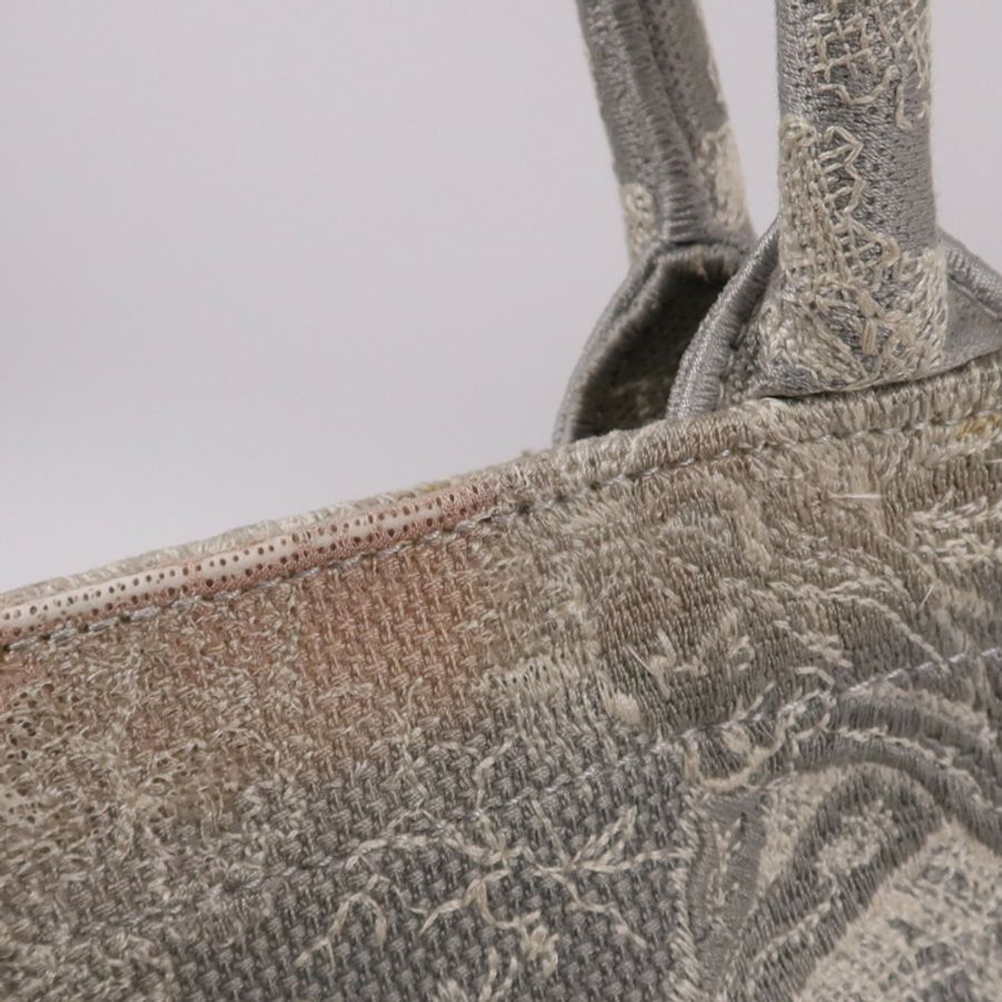 Dior 帆布Book Tote手挽袋-21