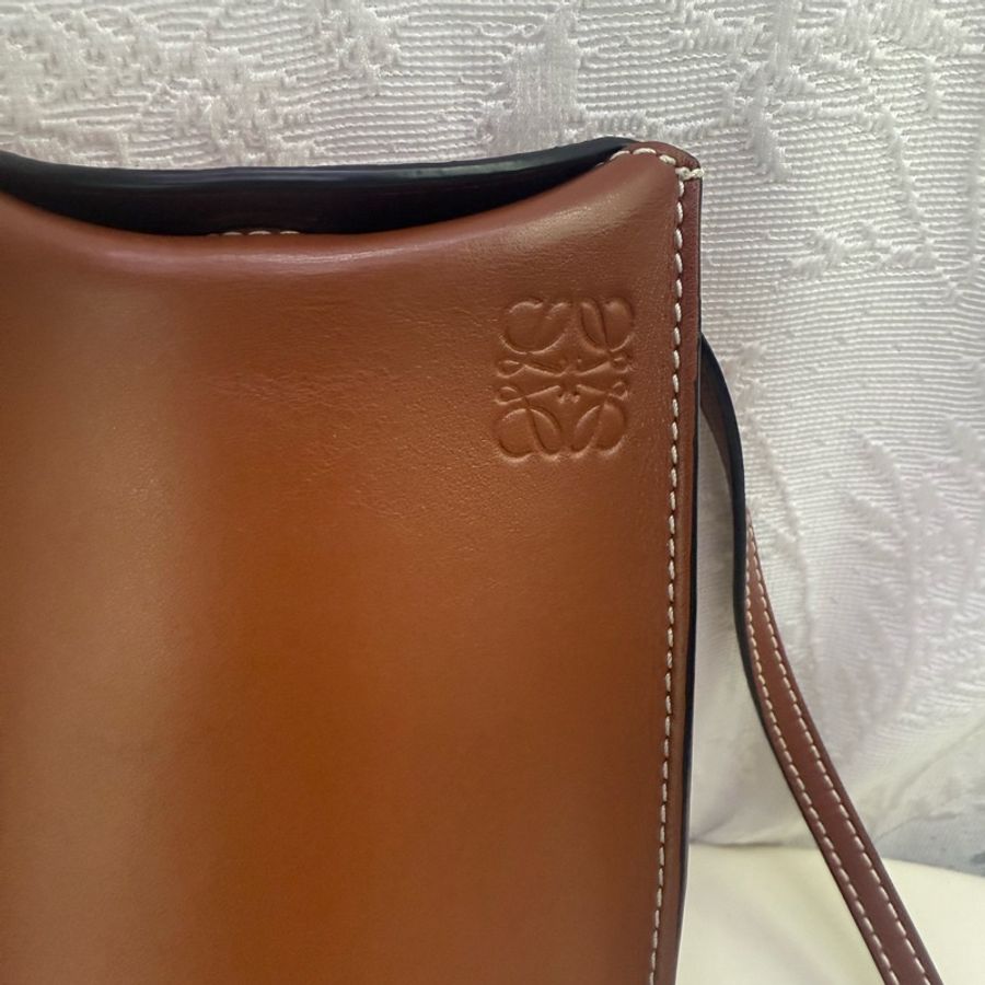 Loewe crossbody Bag-1