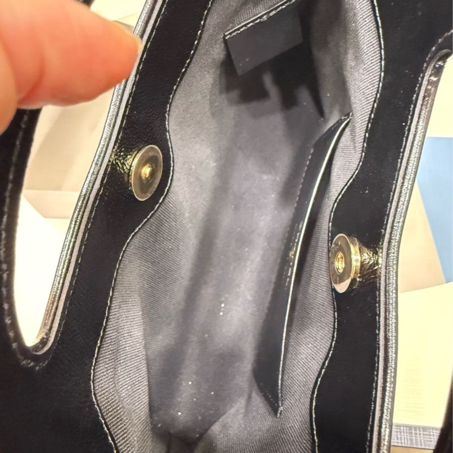 Chanel 31bag nano-8