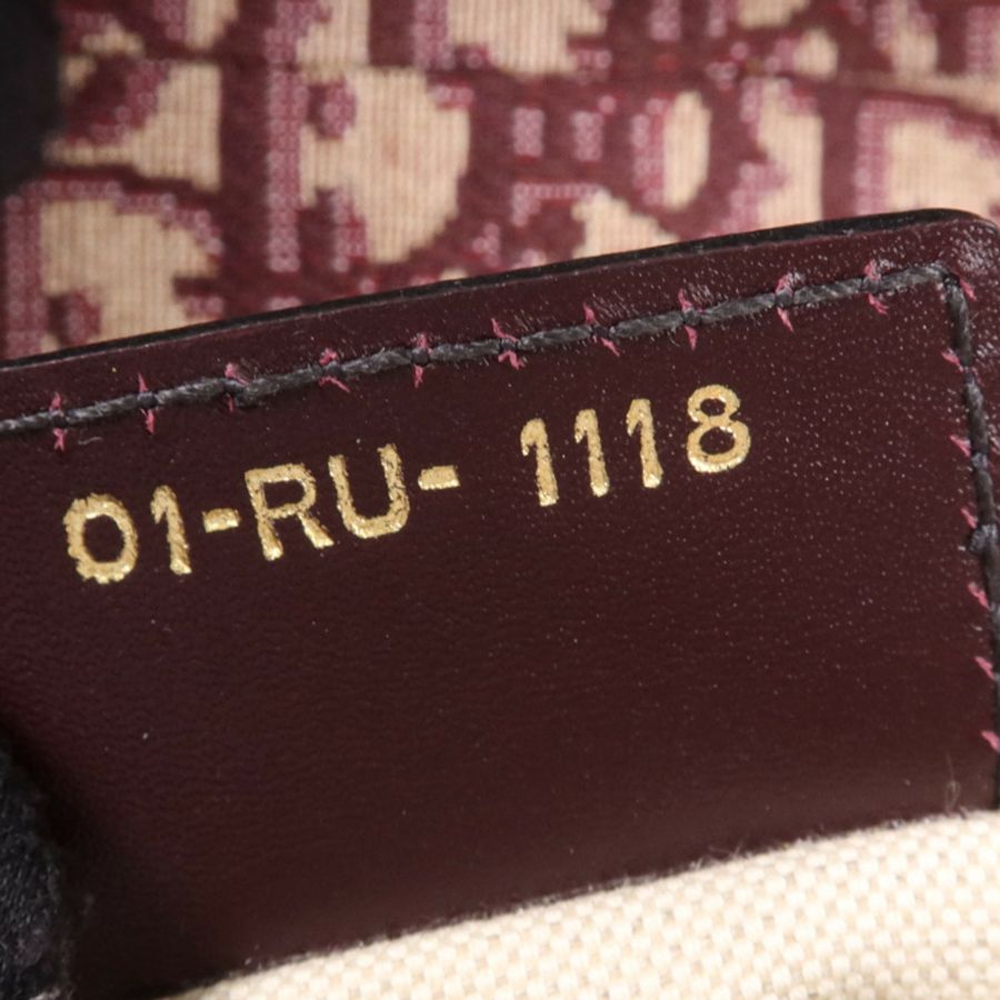 Dior 帆布Mini Saddle金扣手挽袋-6