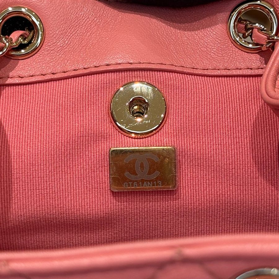 Chanel 香奈兒Duma 小號 雙背包｜經典粉 × 金釦 晶片款｜-24