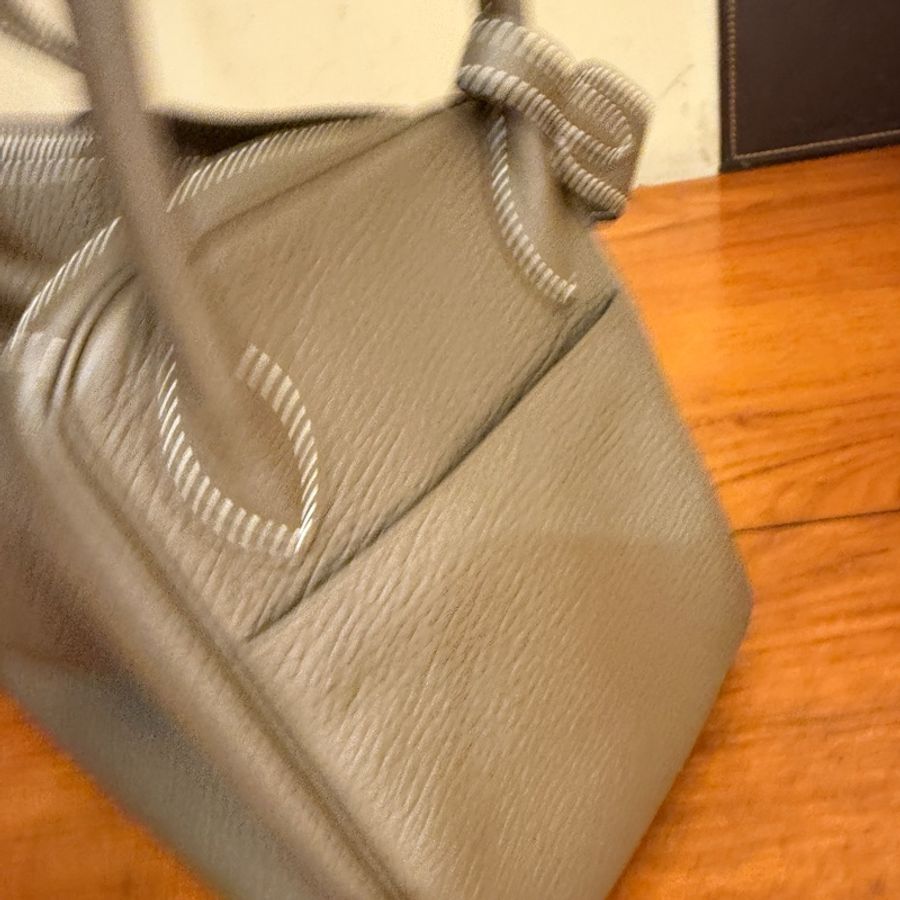 Hermes lindy30 大象灰  要買 這尺寸真的不大-7