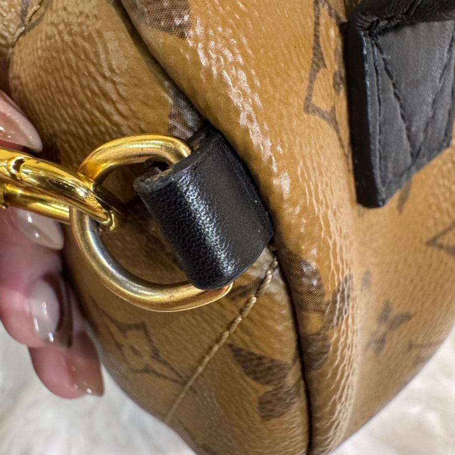 LV Palm Springs Mini 雙色原花小書包-11