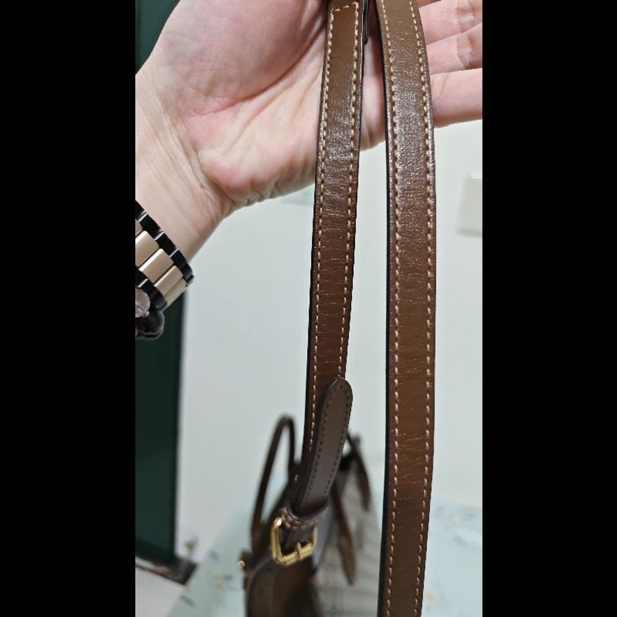 Gucci ophidia supreme tote 老花托特包-15