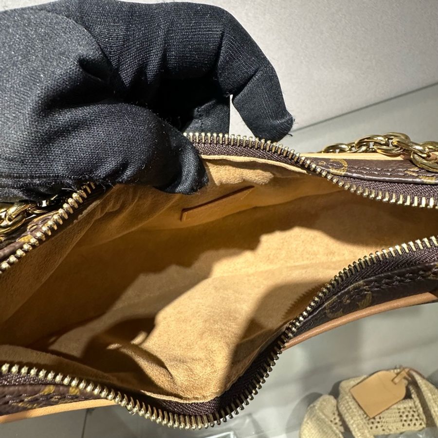 LOUIS VUITTON Loop 经典老花 月亮包豌豆包腋下包手提单肩包-5