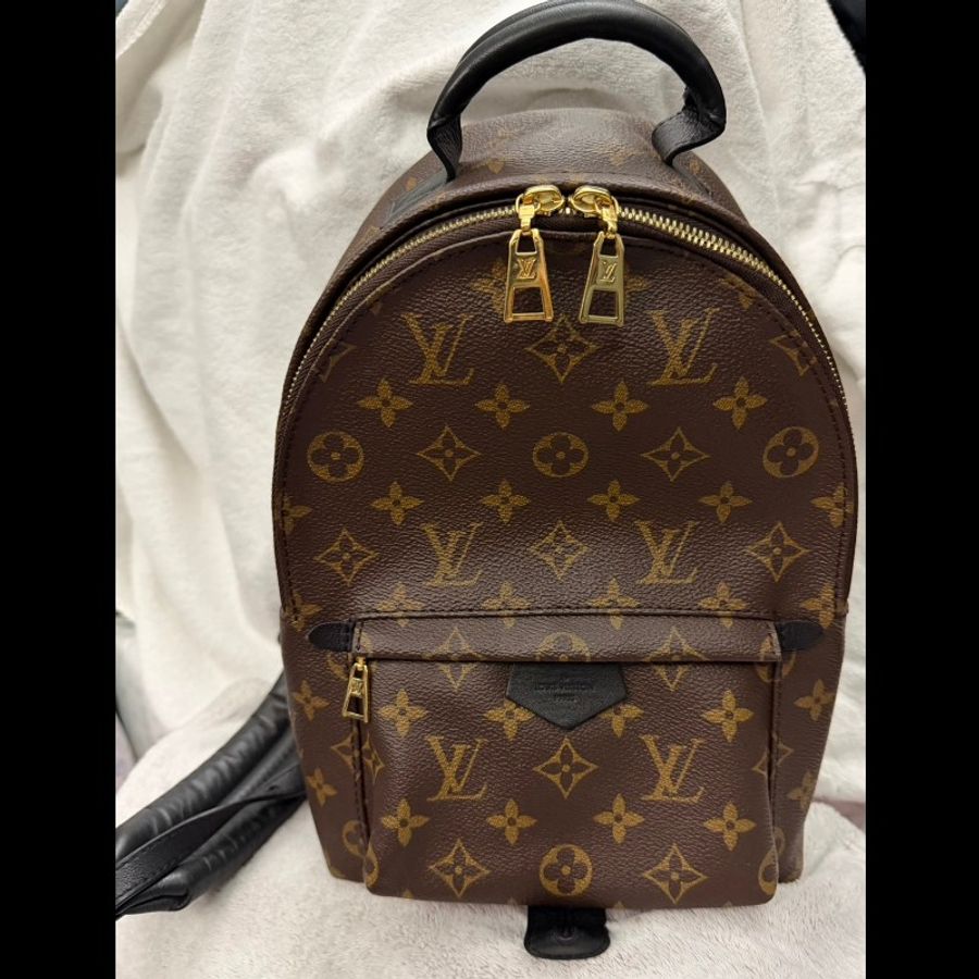 LOUIS VUITTON PalmSprings小書包小號老花肩背包-0