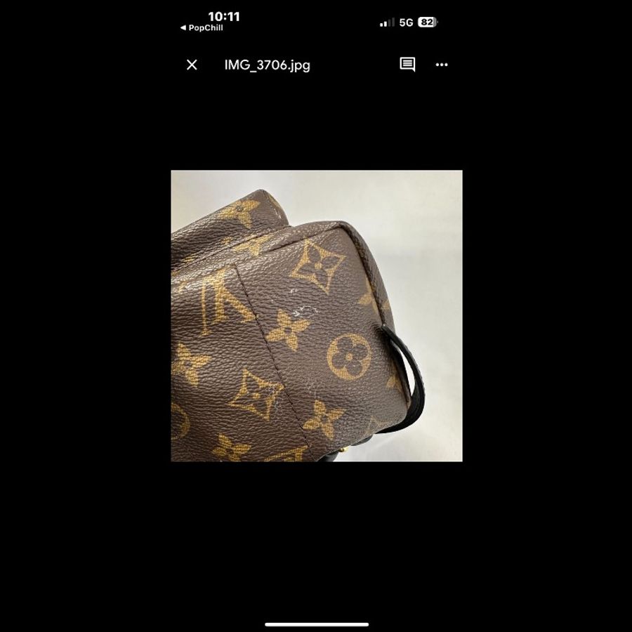 LOUIS VUITTON PalmSprings小書包小號老花肩背包-5