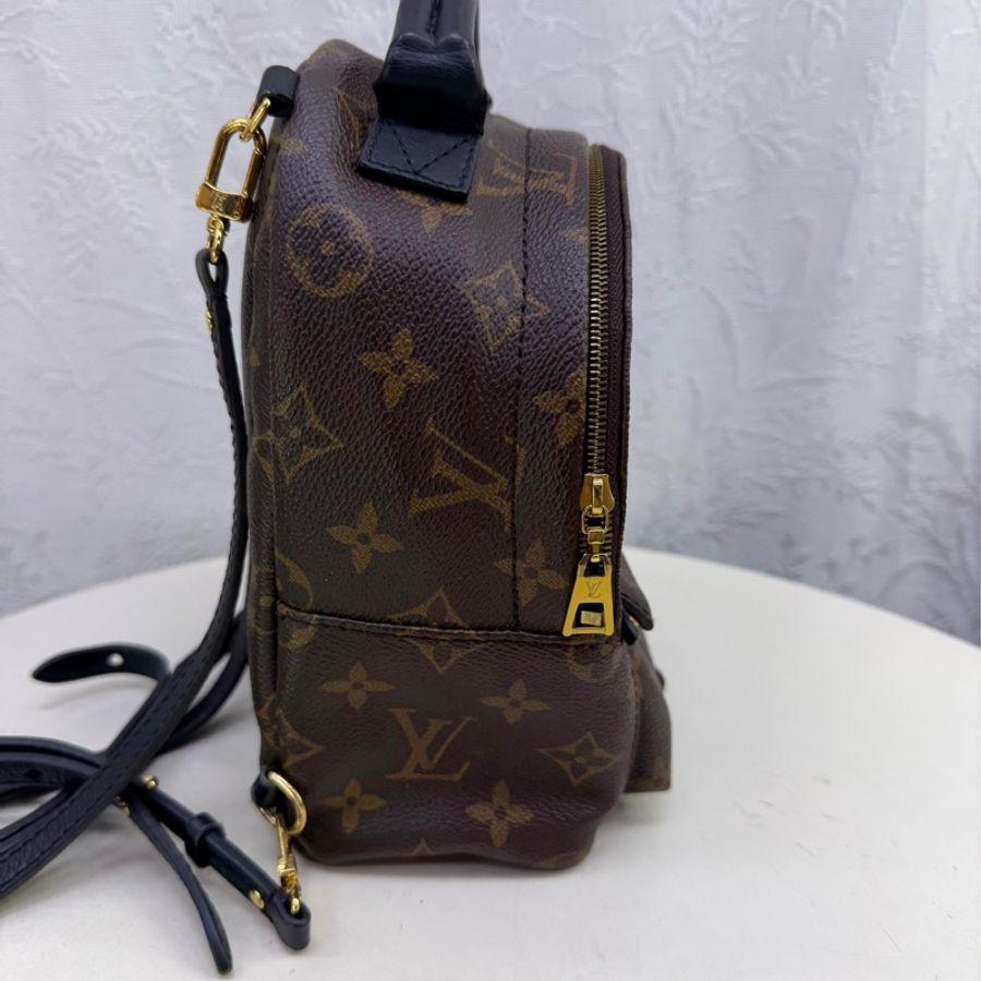 LOUIS VUITTON Monogram Palm Spring Mini金扣背包-8