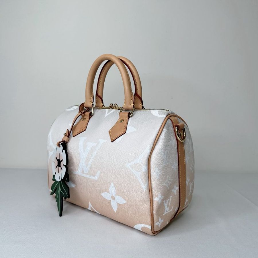 LV 珊瑚沙漸層色Speedy 25-2