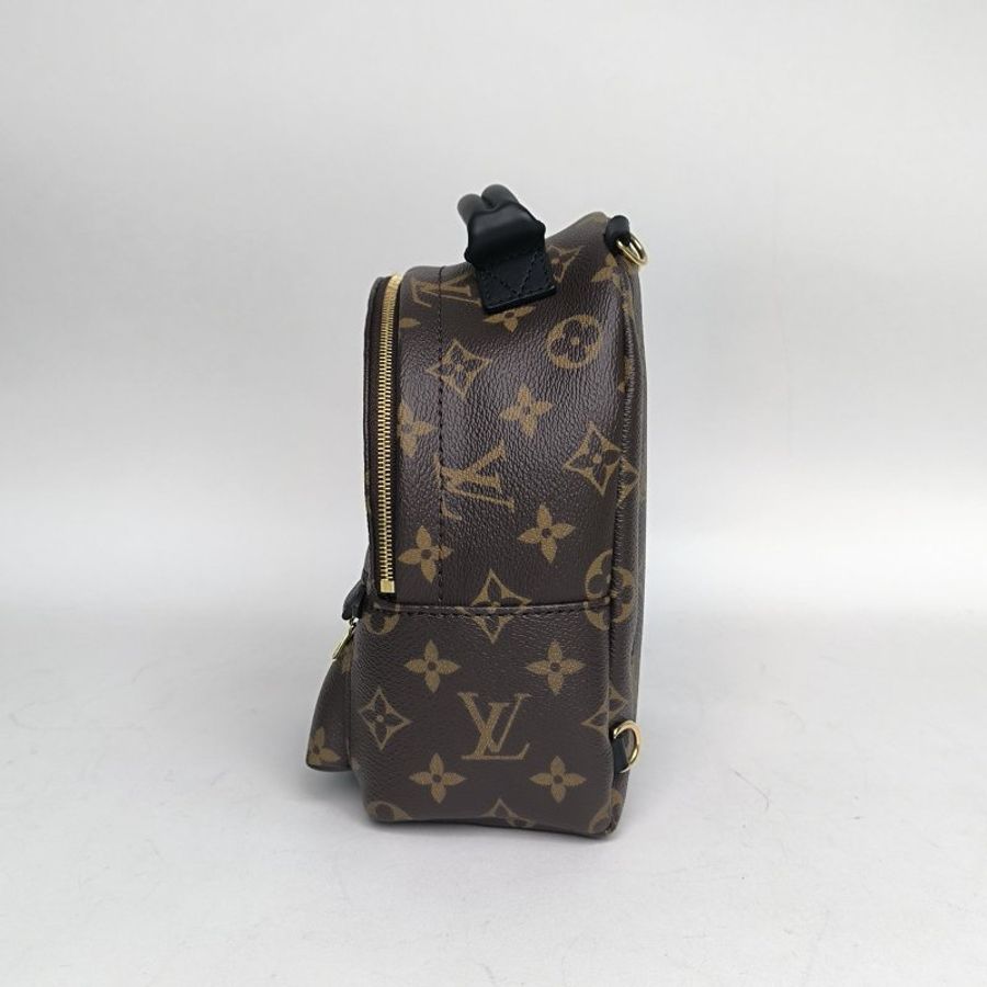 LOUIS VUITTON PalmSprings小書包Mini17新款拉鏈外露老花PVC晶片肩背包-3